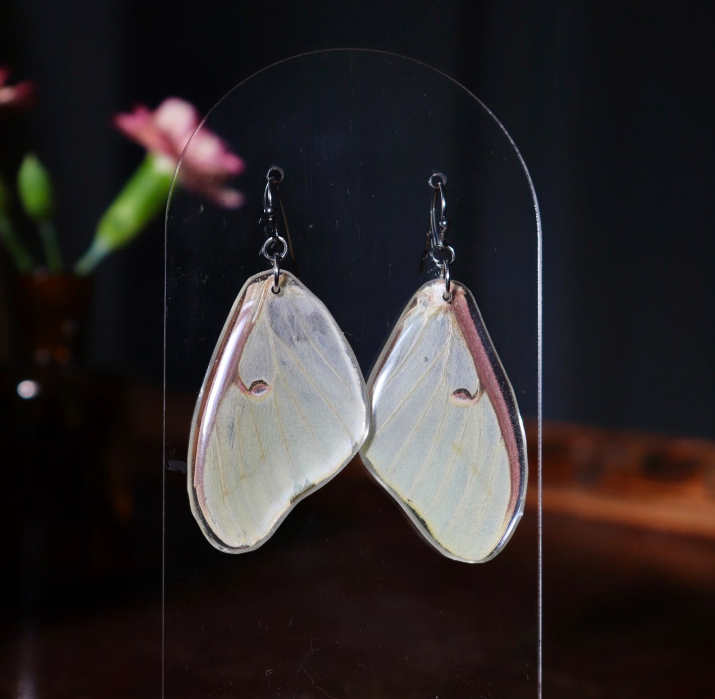 Luna Moth (Forewings)