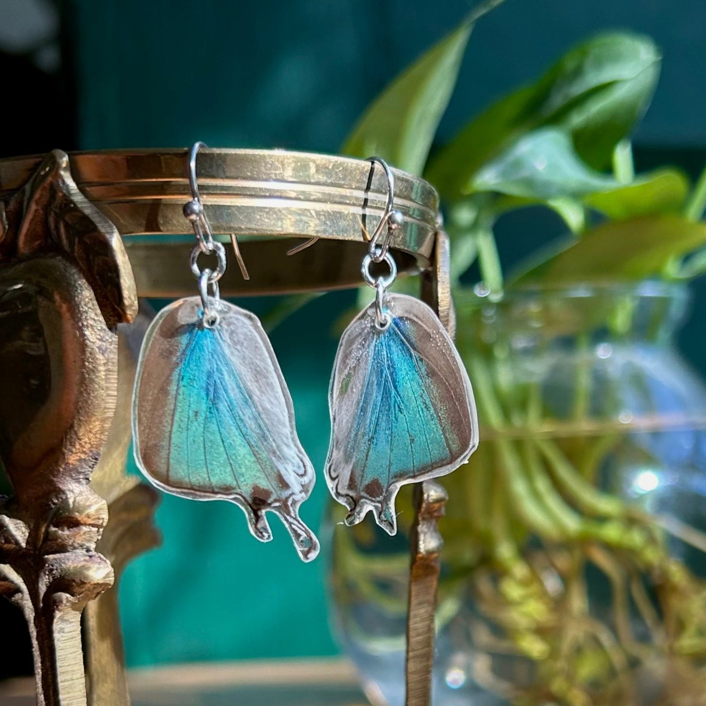 Damo Blue Hairstreak (Hindwings)