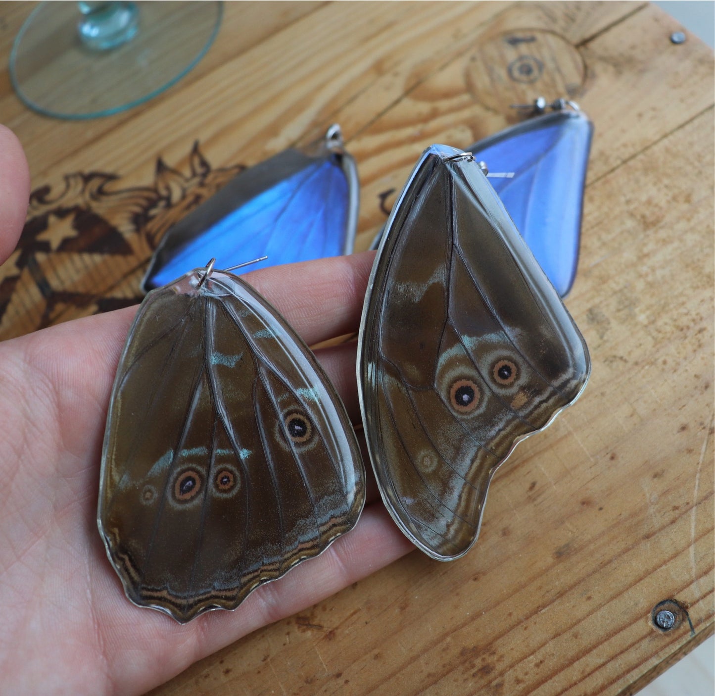 Menelaus Blue Morpho (Forewings)