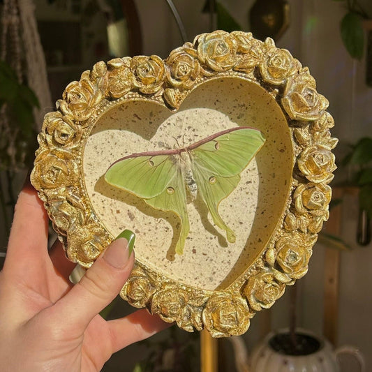 Luna Moth (Rare)