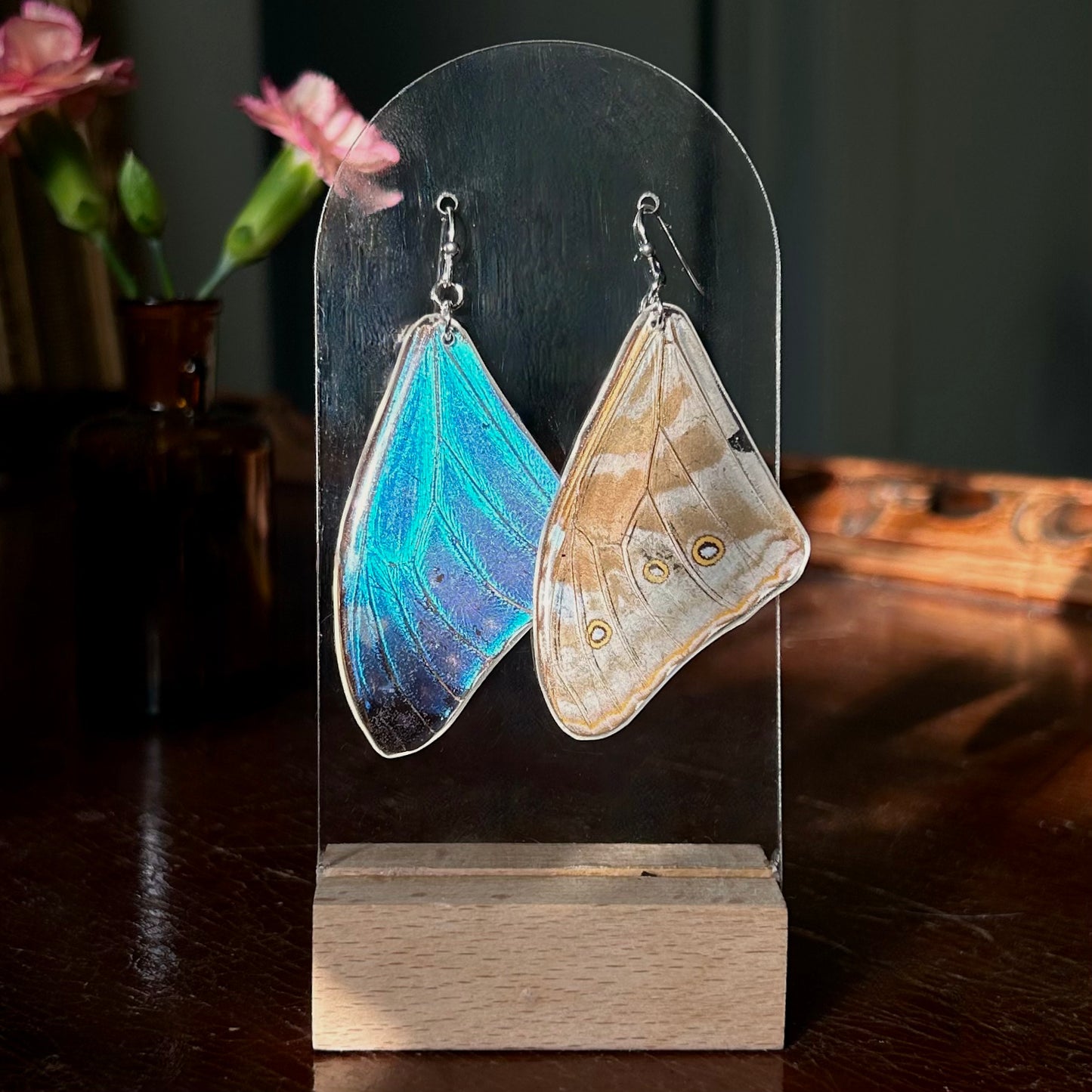Adonis Blue Morpho (Forewings)