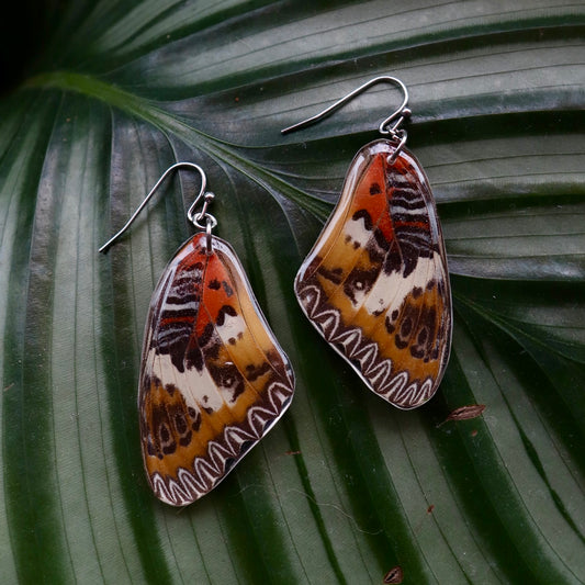 Maylay Lacewing Butterfly (Forewings)