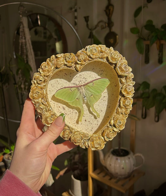 Luna Moth (Rare)