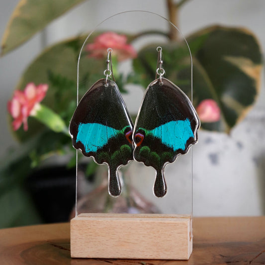 Jungle Jade Butterfly (Hindwings)
