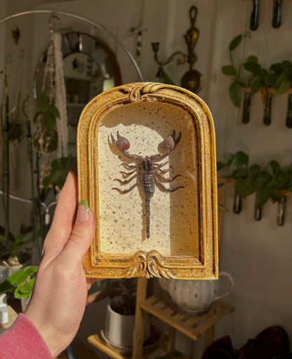 Scorpion (Indonesia)