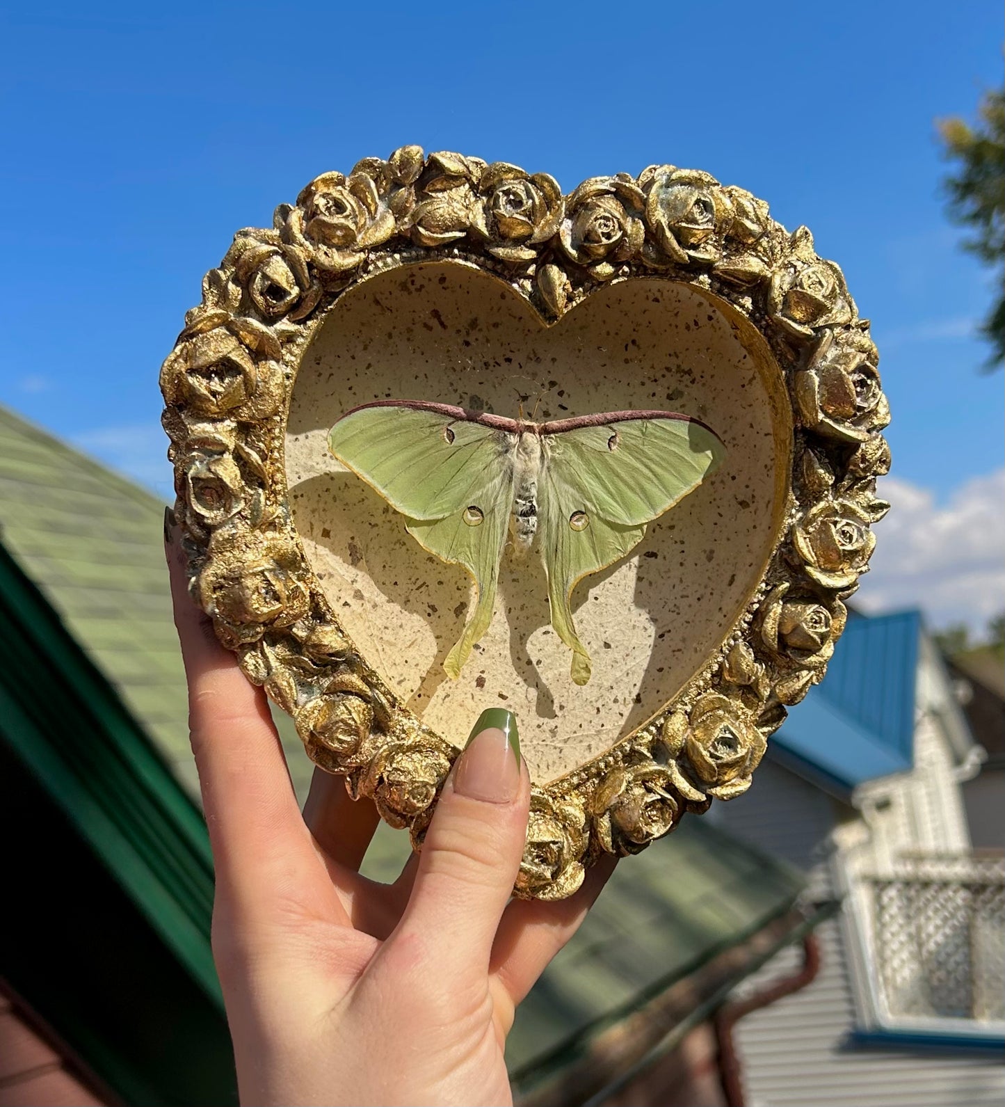 Luna Moth (Rare)