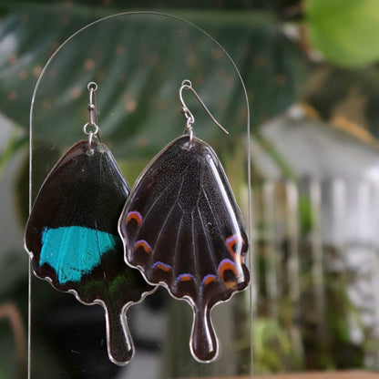 Jungle Jade Butterfly (Hindwings)