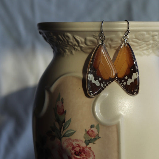 African Monarch (Forewings)