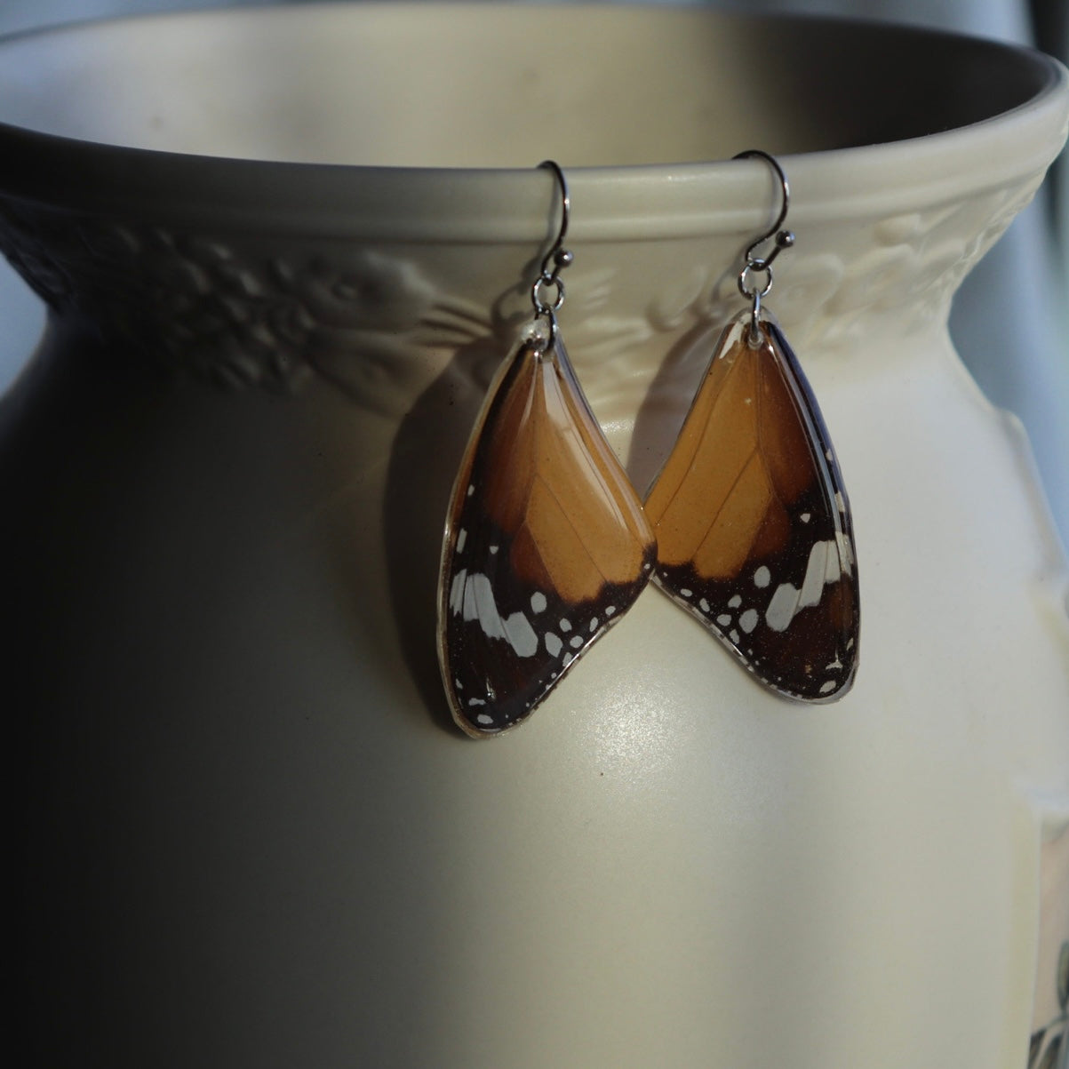 African Monarch (Forewings)
