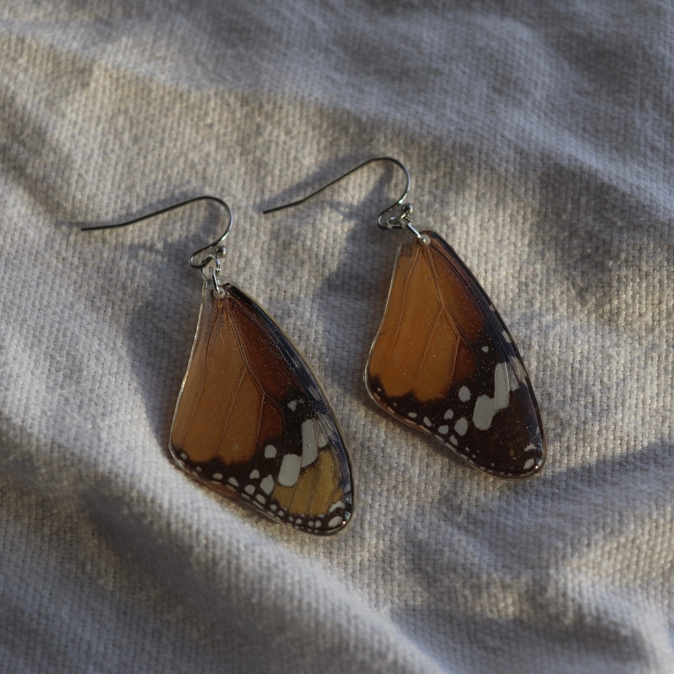 African Monarch (Forewings)